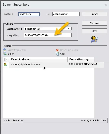 All Subscribers list in Salesforce Marketing Cloud showing the Subscriber Key value after first email send